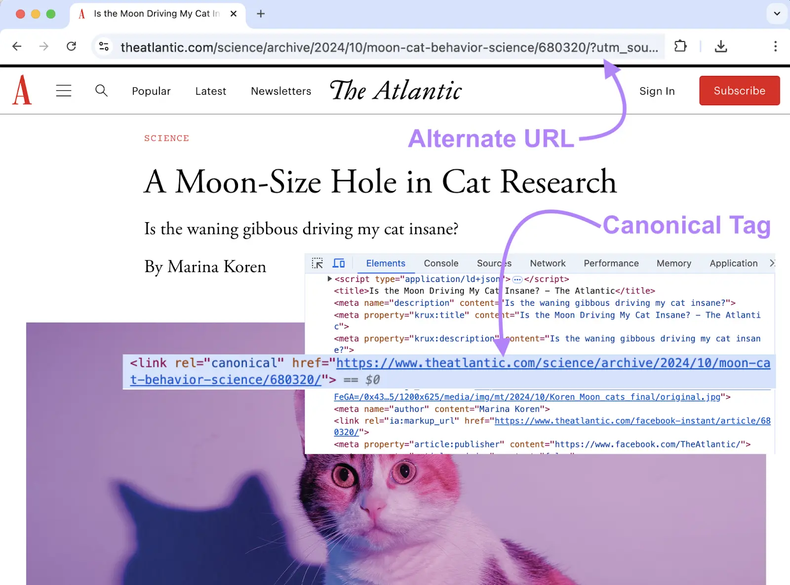 The Atlantic article showing alternate URL in browser bar and canonical tag highlighted in page code.