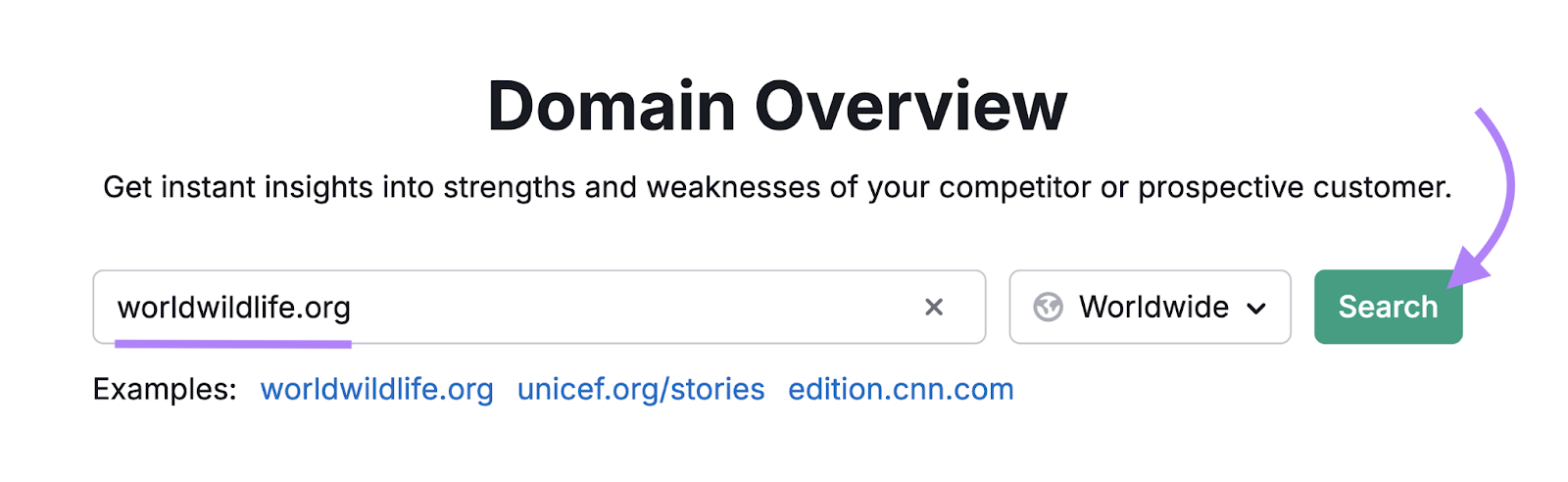 A domain is entered into the tool.