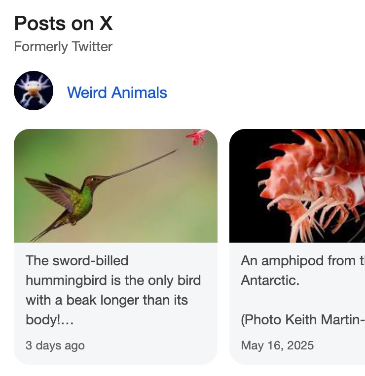 What X Carousel looks like on mobile devices.